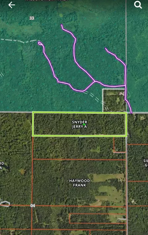 5875 N Harding, Harrison, MI 48625 photo 3