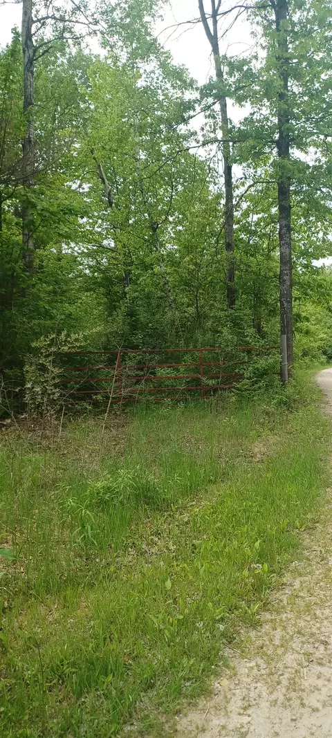 5875 N Harding, Harrison, MI 48625 photo 5