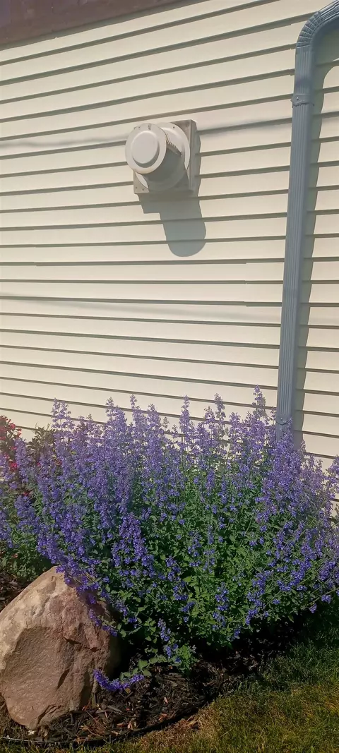 Other - 6401 Swallow, Harrison, MI 48625 photo 10 of 11