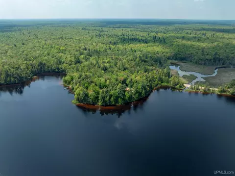 View/Area - 14456 N Crooked Lk, Shingleton, MI 49884 photo 23 of 26
