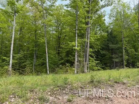 tbd Maas, Negaunee, MI 49866