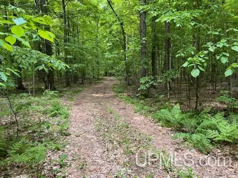 20 99 Acres Old J, Silver Cliff T-wi, WI 54104