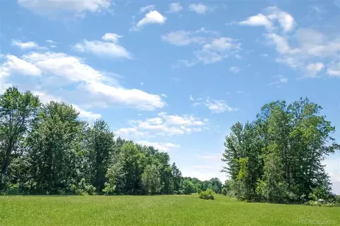 0000 Galbraith Line, Melvin, MI 48454