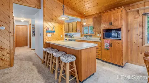 8188 Garth Point 2525, Rapid River, MI 49878 photo 8
