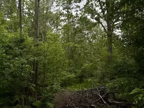 2854 N Lakeshore, Gladwin, MI 48624 photo 19