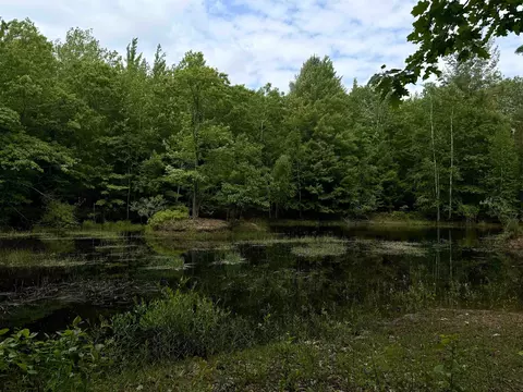 2854 N Lakeshore, Gladwin, MI 48624 photo 17