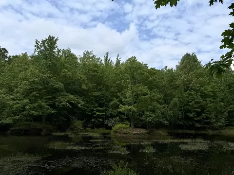 2854 N Lakeshore, Gladwin, MI 48624 photo 20