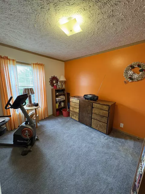 Other - 9233 Gary, Chesaning, MI 48616 photo 2 of 6