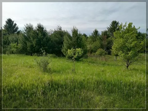 lot25 Winchester, Butman, MI 48624