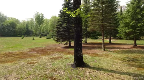 10031 N Ross Lk, Shingleton, MI 49884 photo 50
