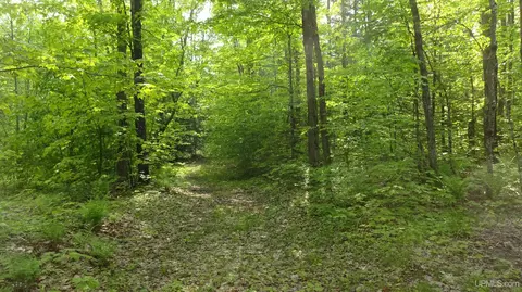 10031 N Ross Lk, Shingleton, MI 49884 photo 51