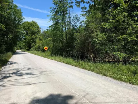000 Fox, Goodells, MI 48027