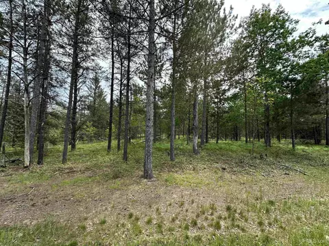 tbd M35, Gwinn, MI 49841