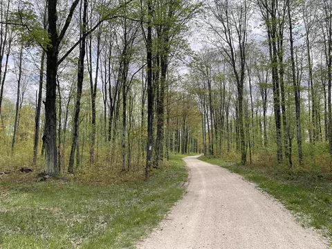 4866 Camp 23 # N, Germfask, MI 49836 photo 59