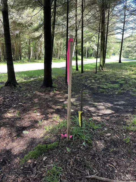 5930 Juniper Aa, Rapid River, MI 49878 photo 16