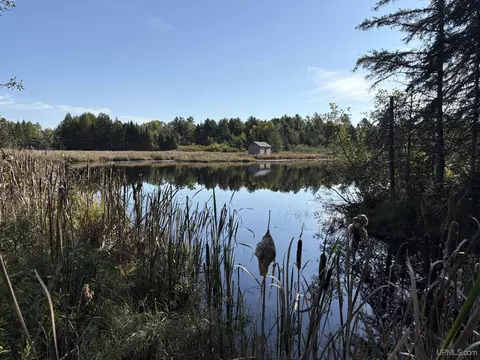 View/Area - 9535 Walstroms, Republic, MI 49879 photo 3 of 13
