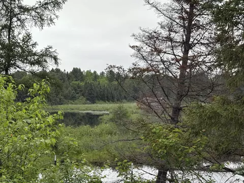 View/Area - 9535 Walstroms, Republic, MI 49879 photo 11 of 13