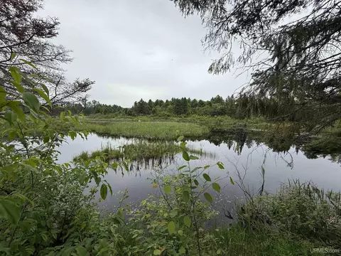 View/Area - 9535 Walstroms, Republic, MI 49879 photo 8 of 13