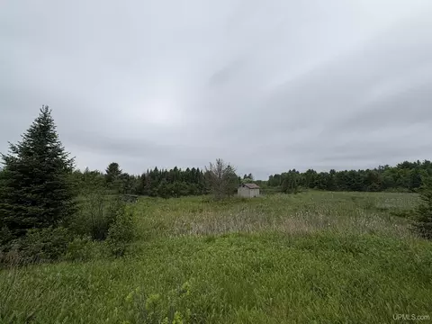 Other - 9535 Walstroms, Republic, MI 49879 photo 9 of 14