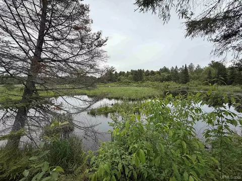 View/Area - 9535 Walstroms, Republic, MI 49879 photo 9 of 13