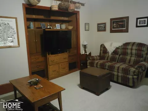203 E King, Owosso, MI 48867 photo 11