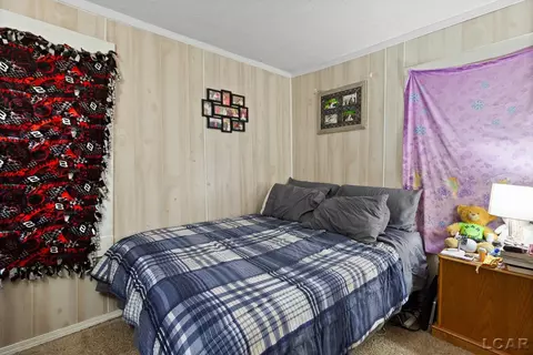 121 W Beecher, Adrian, MI 49221 photo 23