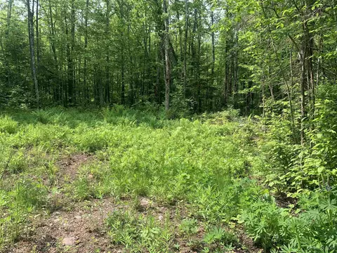 tbd Hoop N Holler, Bergland, MI 49910