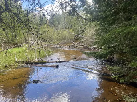 120 Ross Creek County Road 450, Seney, MI 49883