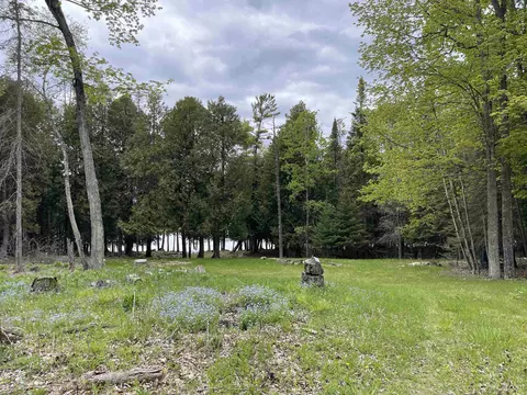 tbd Ll5, Garden, MI 49835