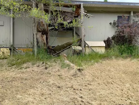 Exterior - 775 W Maple, Farwell, MI 48622 photo 6 of 8