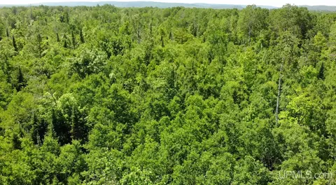 tbd 1 Norwich, Ewen, MI 49925
