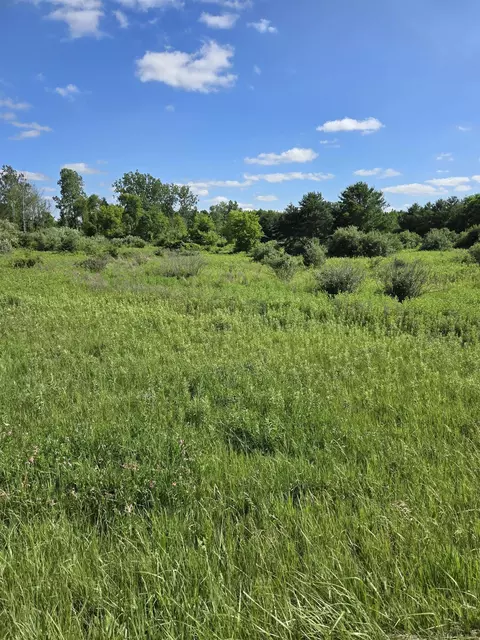 Vl Washington, Carsonville, MI 48419