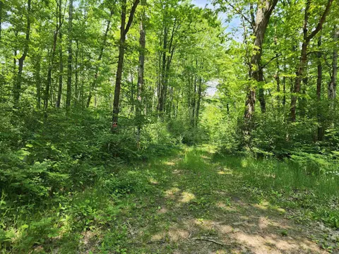 26 Acres Mostetler, Harrison, MI 48625
