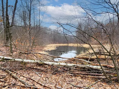 25 Acres Mostetler, Harrison, MI 48625 photo 2