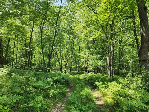 25 Acres Mostetler, Harrison, MI 48625