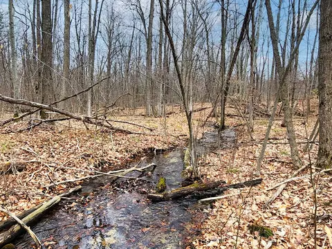 25 Acres Mostetler, Harrison, MI 48625 photo 3