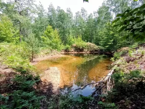 1780 S M-18, Gladwin, MI 48624 photo 29