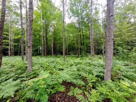 1780 S M-18, Gladwin, MI 48624 photo 8