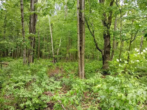 1780 S M-18, Gladwin, MI 48624 photo 12