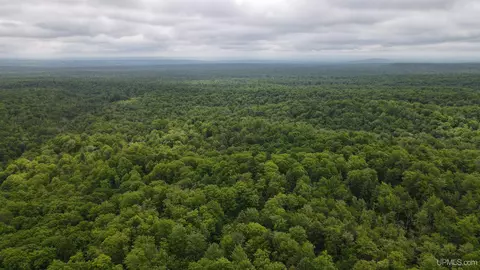 tbd Off Donken-tapiola, Twin Lakes, MI 49958