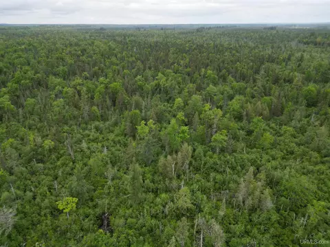 tbd Off Ee25, Rapid River, MI 49878