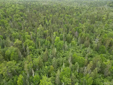 tbd Off Ee25, Rapid River, MI 49878 photo 4
