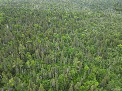 tbd Off Ee25, Rapid River, MI 49878 photo 3