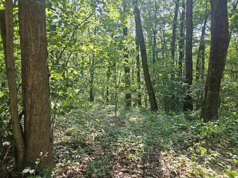 524 Coleman, Harrison, MI 48625 photo 3