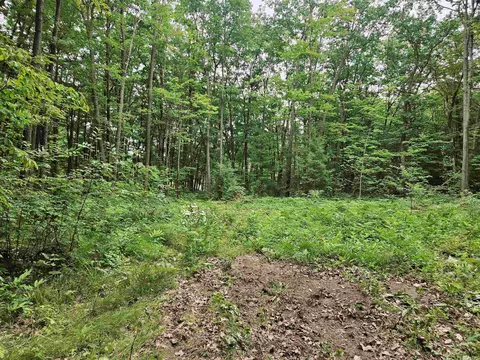 524 Coleman, Harrison, MI 48625 photo 14