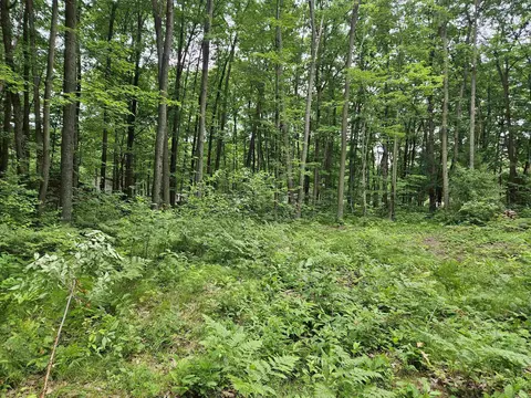 524 Coleman, Harrison, MI 48625 photo 11