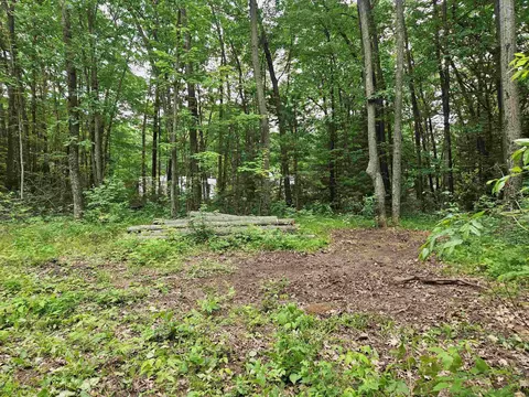 524 Coleman, Harrison, MI 48625 photo 10