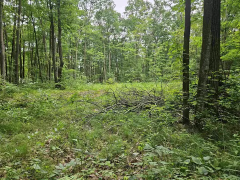 524 Coleman, Harrison, MI 48625 photo 6