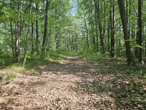 524 Coleman, Harrison, MI 48625 photo 2