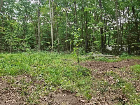 524 Coleman, Harrison, MI 48625 photo 13
